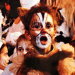 Cats  11